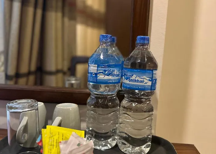 酒店 尼泊尔珠峰酒店