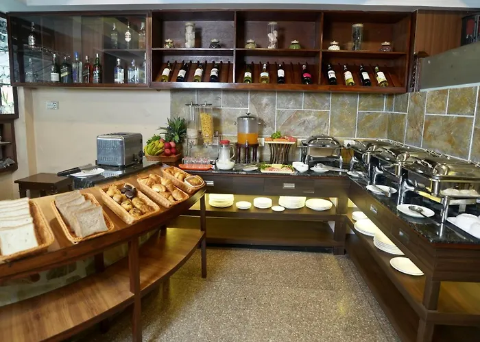 酒店 尼泊尔珠峰酒店 加德满都